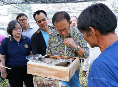 ลงพื้นที่จังหวัดนราธิวาส เยี่ยมชมพื้นที่ต้นแบบบ้านฮูแตทูวอ ... พารามิเตอร์รูปภาพ 4