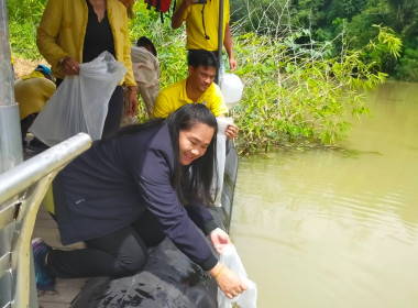 โครงการอำเภอบำบัดทุกข์ บำรุงสุข แบบบูรณาอย่างยั่งยืน พารามิเตอร์รูปภาพ 14