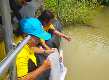 โครงการอำเภอบำบัดทุกข์ บำรุงสุข แบบบูรณาอย่างยั่งยืน พารามิเตอร์รูปภาพ 16