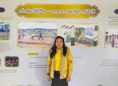 World Soil Day 2023 พารามิเตอร์รูปภาพ 16