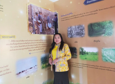 World Soil Day 2023 พารามิเตอร์รูปภาพ 17