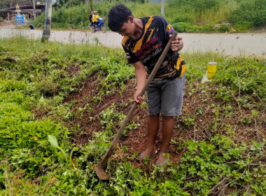 โครงการปรับปรุงภูมิทัศน์และสิ่งแวดล้อมปั๊มทำมัน ... พารามิเตอร์รูปภาพ 42