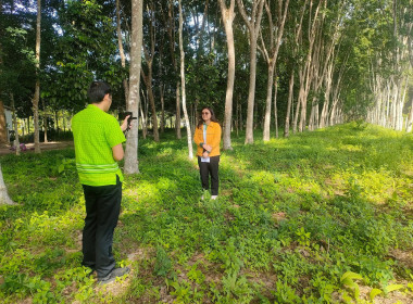 ลงพื้นที่ถ่ายทำ VTR ... พารามิเตอร์รูปภาพ 4