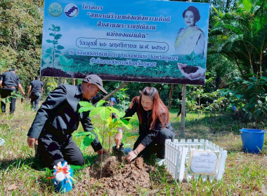 กิจกรรมปลูกต้นไม้และดูแลรักษาผืนป่า ในโครงการ ... พารามิเตอร์รูปภาพ 5