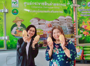ร่วมกิจกรรมการกระจายมะม่วงน้ำดอกไม้จากจังหวัดพิษณุโลกและจังหวัดกาฬสินธุ์ ณ ตลาดกลางสหกรณ์การเกษตรเมืองสุราษฎร์ธานี จำกัด ... พารามิเตอร์รูปภาพ 3