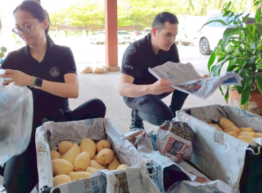 ร่วมกิจกรรมการกระจายมะม่วงน้ำดอกไม้จากจังหวัดพิษณุโลกและจังหวัดกาฬสินธุ์ ณ ตลาดกลางสหกรณ์การเกษตรเมืองสุราษฎร์ธานี จำกัด ... พารามิเตอร์รูปภาพ 10