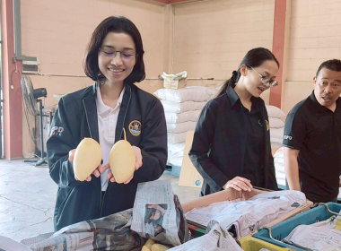 ร่วมกิจกรรมการกระจายมะม่วงน้ำดอกไม้จากจังหวัดพิษณุโลกและจังหวัดกาฬสินธุ์ ณ ตลาดกลางสหกรณ์การเกษตรเมืองสุราษฎร์ธานี จำกัด ... พารามิเตอร์รูปภาพ 7