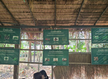 เข้าร่วมฝึกอบรมจิตอาสาหลักสูตรการฝึกปฏิบัติ ... พารามิเตอร์รูปภาพ 11