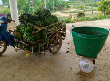 โครงการสร้างรูปแบบเพื่อเป็นแนวทางสู่การพัฒนาสหกรณ์เข้มแข็ง ... พารามิเตอร์รูปภาพ 18
